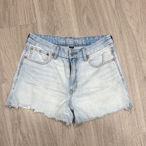 American Eagle Strigid Curvy Relaxed Shorts